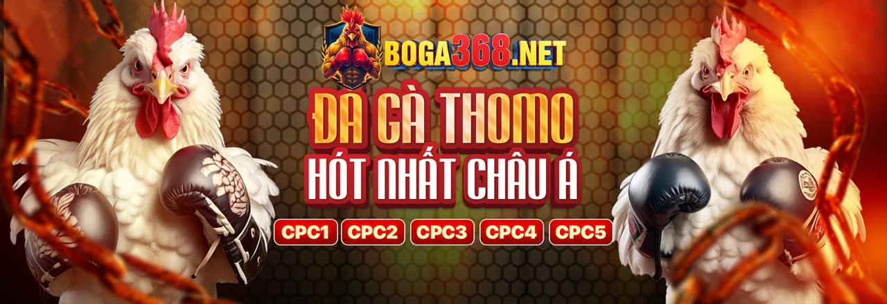 Đá Gà Trực Tuyến Hấp Dẫn tại full 88