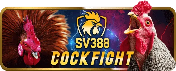 Chơi Game Bài full 88 trên di động